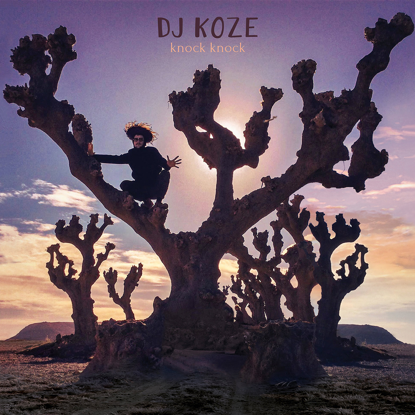 Review: DJ Koze - Knock Knock [Pampa Records]