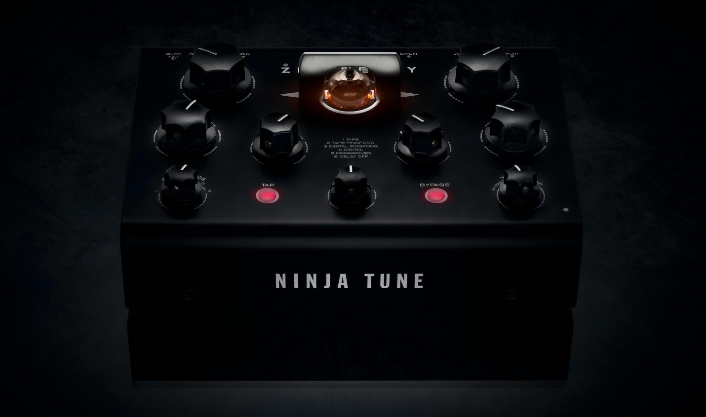 Neu: Ninja Tune + Erica Synths = Dub Delay