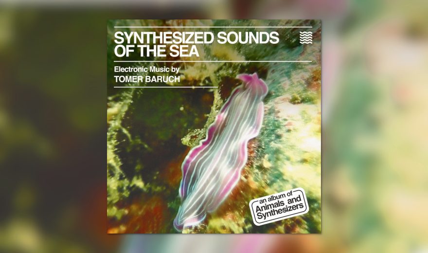 Musik zum Wochenende: Synthesized Sounds of the Sea und Katie Drover