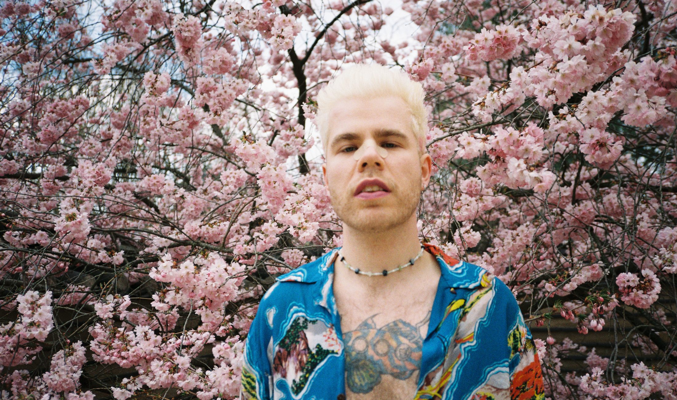 Narciss im Interview.