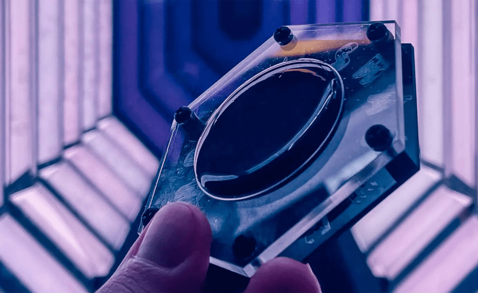 Photon Smasher: Ein Mikrofon das Licht "hören" kann