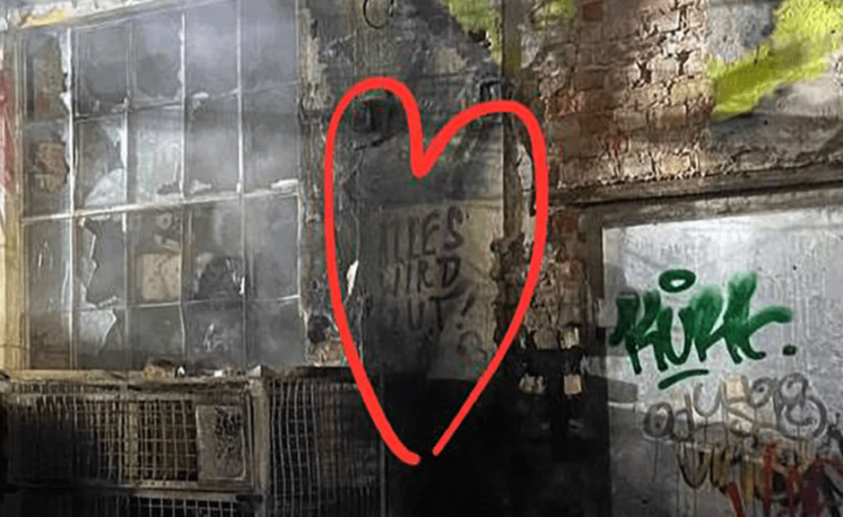 Dresden: Brand in Techno-Club 'objekt klein a'