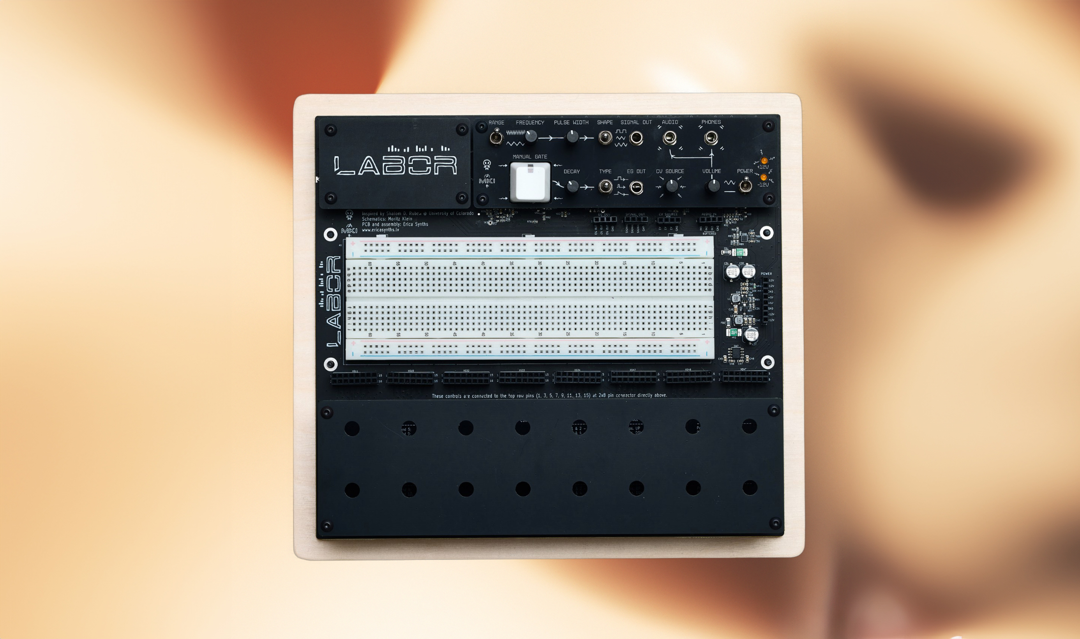 Erica Synths EDU DIY Labor