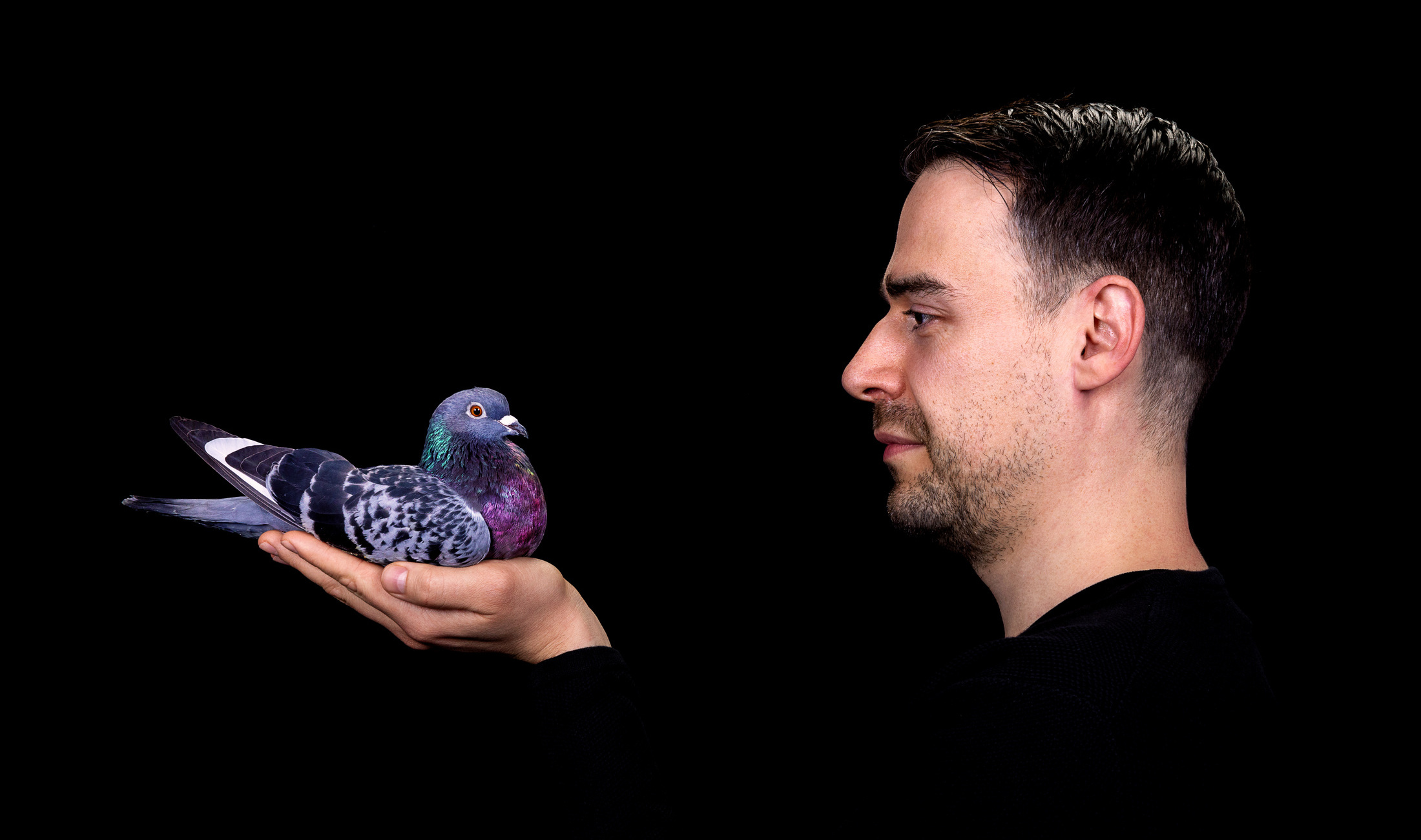 Stimming mit einer Taube