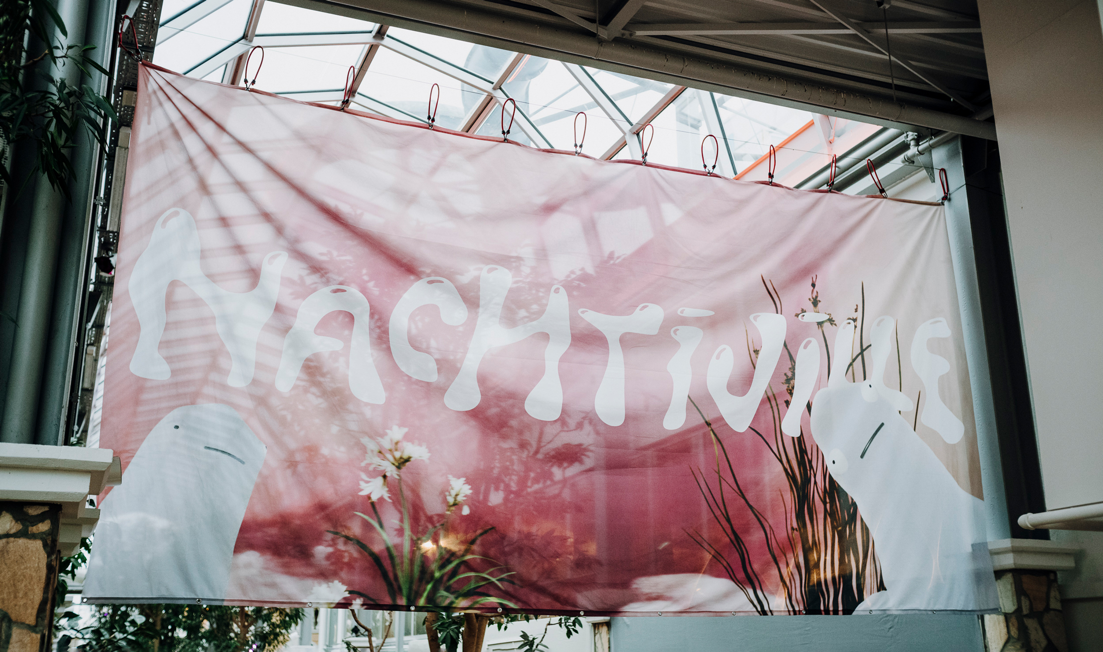 Nachtiville nach der Absage im Interview.