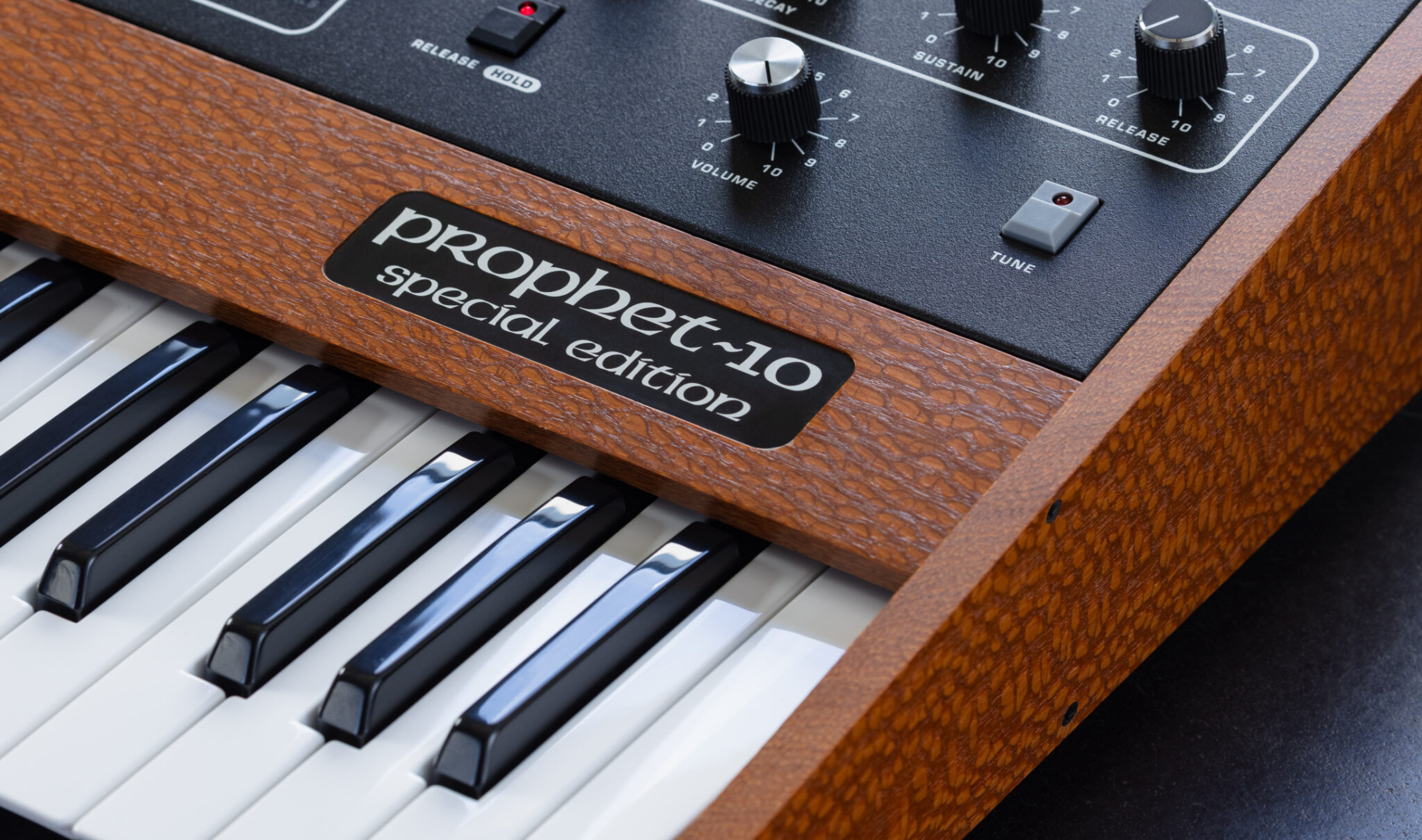 Prophet-10 Special Edition