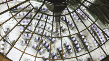 Clubs und Verbände rufen zur Wahl von demokratischen Parteien auf