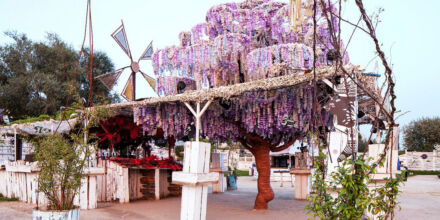Kiesgrube: Rückkehr an die alte Heimat in Neuss