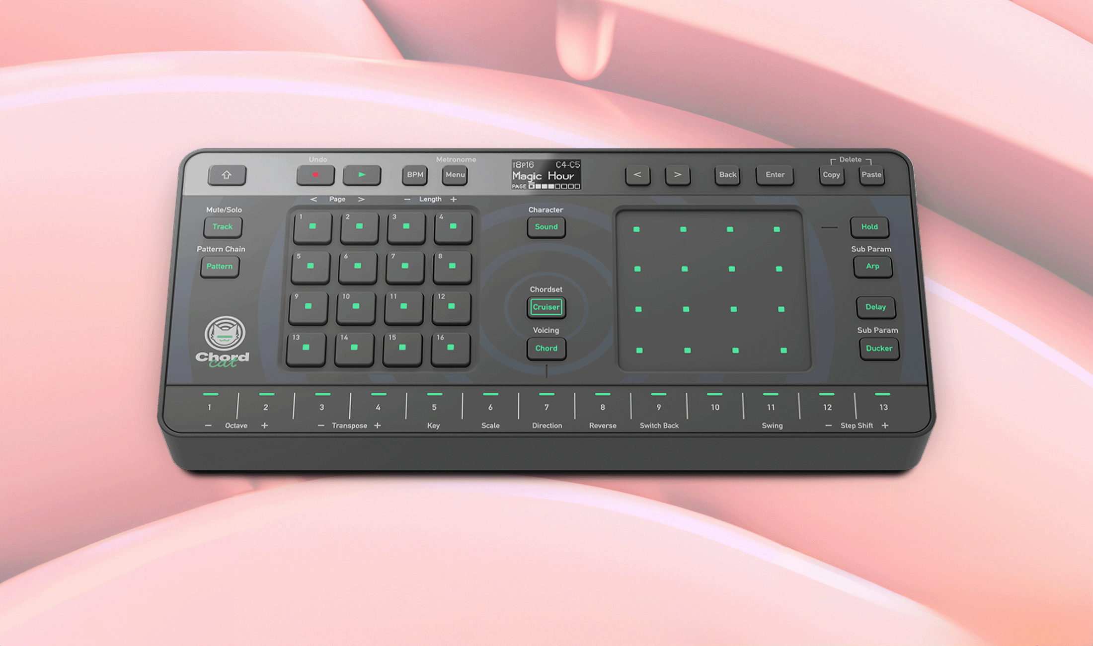 Schmusekater oder Studio-Tiger? Chordcat von AlphaTheta im Check